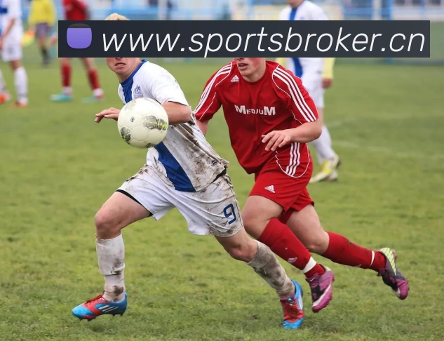 数据防护可视化